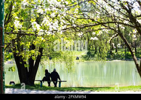 Couple aime la belle scène d'avril au bord du lac avec des pommiers en fleur à Kiev, de beaux moments pendant le conflit horrible de 2023 et la turbulence sociale Banque D'Images