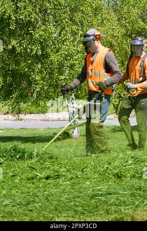 Deux hommes faussent l'herbe verte sur la pelouse du parc avec des coupe-herbes à essence. Les hommes portent des gilets orange vif avec des rayures réfléchissantes, un mas en mesh Banque D'Images