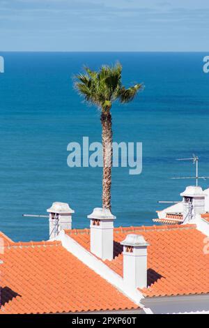 Océan Atlantique et maisons aux murs blancs, vues d'en haut. Casal do Carido, Ericeira. Portugal Banque D'Images