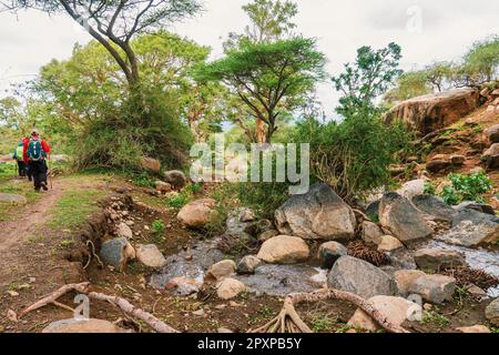 Vue arrière des randonneurs au mont Longido un jour pluvieux dans la campagne tanzanienne Banque D'Images