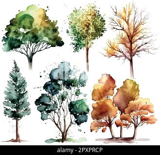 Aquarelle arbre main dessiner vecteur nature peinture Illustration de Vecteur