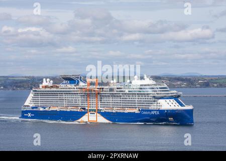 Crosshaven, Cork, Irlande. 02nd avril 2023. Le bateau de croisière Celebrity Apex sort du port, vu de Crosshaven, Co Cork, Irlande. - Crédit; David Creedon / Alamy Live News Banque D'Images