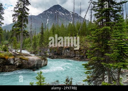 De magnifiques rapides qui traversent la rivière Kootenay à Marble Canyon, en Colombie-Britannique, au Canada Banque D'Images