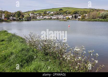 Millbrook vue sur le lac Millbrook dans le sud-est de Cornwall Banque D'Images