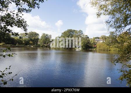 Réservoir Brinscanl Brinscanl près de Chorley Lancashire Angleterre Banque D'Images