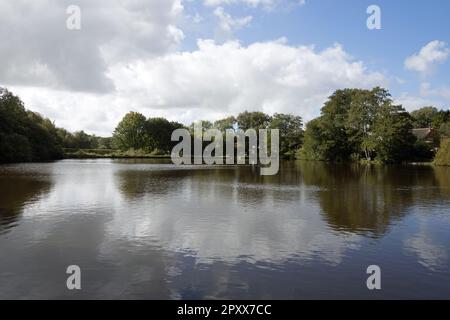 Réservoir Brinscanl Brinscanl près de Chorley Lancashire Angleterre Banque D'Images