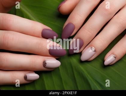 Manucure tendre et soignée sur les mains des femmes sur un fond de feuilles vertes. Forme des ongles Banque D'Images