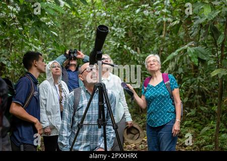 Muelle San Carlos, Costa Rica - les touristes utilisent un oscilloscope d'observation et des jumelles pour voir la faune dans la forêt tropicale du Costa Rica. Banque D'Images