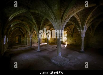 La salle commune des novices sous l'abbaye de bataille, une abbaye bénédictine partiellement détruite à Battle, dans l'est du Sussex, en Angleterre Banque D'Images