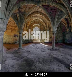 La salle commune des novices sous l'abbaye de bataille, une abbaye bénédictine partiellement détruite à Battle, dans l'est du Sussex, en Angleterre Banque D'Images