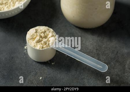 Poudre de protéine de lactosérum de vanille saine biologique dans une pelle Banque D'Images