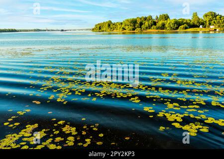 Paysage de la confluence des rivières Kotorosl et Volga dans la ville de Yaroslavl Banque D'Images