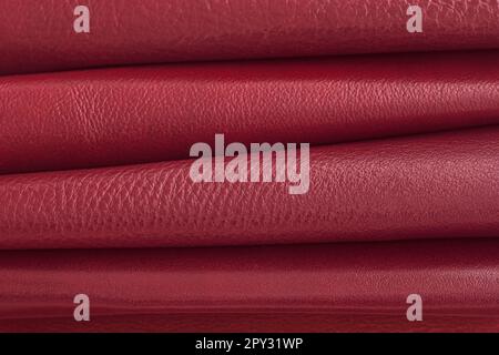 Échantillons de cuir rouge foncé coloré roulé, concept de l'industrie de la mode. Collection de palettes gros plan, arrière-plan Banque D'Images