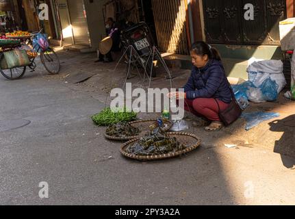 Hanoï, Vietnam, janvier 2023. vue panoramique sur les vendeurs traditionnels de nourriture dans la rue dans le centre-ville. Banque D'Images