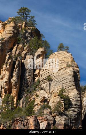 Oak Creek Canyon vue, Red Rock Country, Coconino National Forest, Arizona Banque D'Images