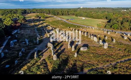 Vue aérienne des alignements de pierre de Carnac de Kermario à Morbihan, France - menhirs et mégaliths préhistoriques en rangées en Bretagne Banque D'Images