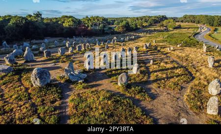 Vue aérienne des alignements de pierre de Carnac de Kermario à Morbihan, France - menhirs et mégaliths préhistoriques en rangées en Bretagne Banque D'Images