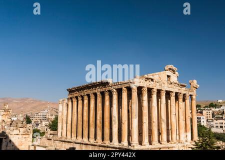 Baalbek, temple romain de Bacchus, vallée de la Bekaa, Baalbek, gouvernorat de Baalbek-Hermel, Liban, moyen-Orient, Asie Banque D'Images