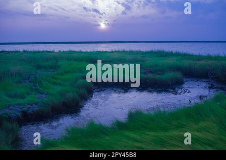 Cheasapeake Bay Sunrise Banque D'Images