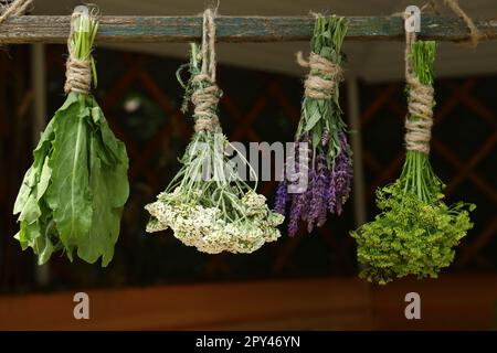 Des lapins de différentes belles fleurs séchées accrochées sur bâton de bois à l'intérieur Banque D'Images