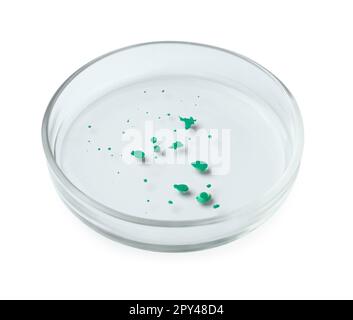 Boîte de Pétri avec colonie de bactéries isolée sur blanc Banque D'Images