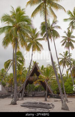 Scènes historiques hawaïennes du parc historique national de Puuhonua O Honaunau, sur l'île d'Hawaï, sur la côte de Kona. Banque D'Images