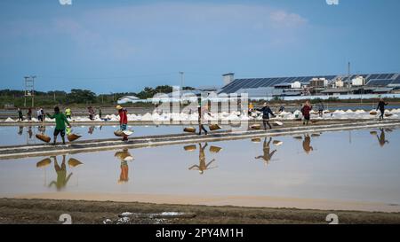 Ban Laem, Thaïlande. 25th avril 2023. Les travailleurs du sel sont occupés à transporter du sel d'élevage dans des paniers dans un champ de sel. Le district de Ban Laem, dans la province de Petchaburi, possède l'une des plus grandes industries de production de sel de Thaïlande, où les gens travaillent encore dur car l'agriculture est un mode de vie depuis des siècles, démontrant la sagesse, le transfert de connaissances de l'expérience, l'observation et la dépendance à la nature. Crédit : SOPA Images Limited/Alamy Live News Banque D'Images