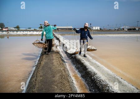 Ban Laem, Thaïlande. 25th avril 2023. Les travailleurs du sel transportent des contresets pleins de sel après la récolte dans le champ de sel. Le district de Ban Laem, dans la province de Petchaburi, possède l'une des plus grandes industries de production de sel de Thaïlande, où les gens travaillent encore dur car l'agriculture est un mode de vie depuis des siècles, démontrant la sagesse, le transfert de connaissances de l'expérience, l'observation et la dépendance à la nature. (Photo de Nathalie Jamois/SOPA Images/Sipa USA) crédit: SIPA USA/Alay Live News Banque D'Images