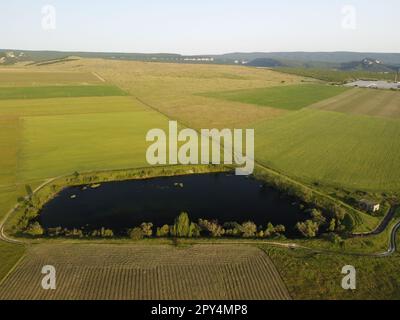 Vue aérienne sur un lac entouré d'un champ de blé vert à la campagne. Champ de blé soufflant dans le vent comme la mer verte. Épis d'orge dans la nature Banque D'Images