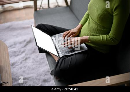 Image courte vue latérale d'une femme vêtue de vêtements décontractés en utilisant son ordinateur portable sur un canapé dans un salon. travail à domicile, temps libre, loisirs Banque D'Images