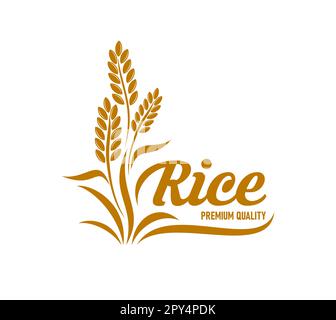 Icône du riz avec des plantes céréalières et des céréales, des aliments vectoriels et des cultures agricoles. Symbole isolé de boulangerie ou de moulin de ferme avec silhouette dorée de paddy ou de jasmin Illustration de Vecteur