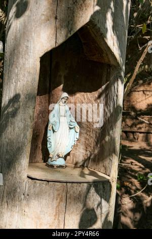 Madonna-Statue debout dans une niche sculptée d'une souche d'arbre, Pantanal Wetlands, Mato Grosso, Brésil Banque D'Images