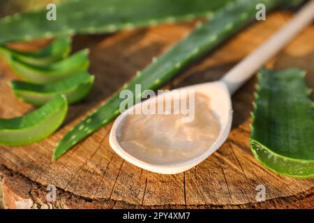 Feuilles de vera d'aloès vert et cuillère de gel sur la souche, gros plan Banque D'Images