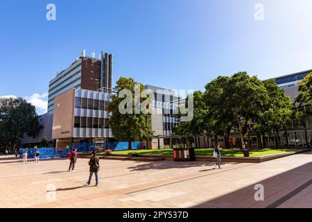 Université de Nouvelle-Galles du Sud campus de l'UNSW à Kensington, Nouvelle-Galles du Sud, Australie Banque D'Images