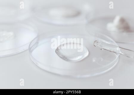 Pipeter avec un échantillon de gels de produit cosmétique dans une boîte de Pétri sur fond blanc Banque D'Images