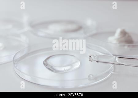Pipeter avec un échantillon de gels de produit cosmétique dans une boîte de Pétri sur fond blanc Banque D'Images