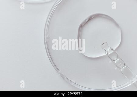 Pipeter avec un échantillon de gels de produit cosmétique dans une boîte de Pétri sur fond blanc Banque D'Images