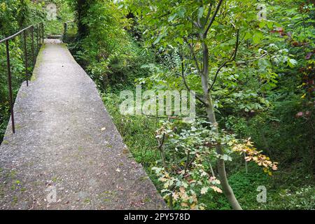 Banja Koviljacha, Serbie, Loznica, Mont Guchevo. Un vieux pont étroit en béton traversant une rivière de montagne avec une clôture métallique. Epaissons de buissons, de lierre, de vignes, d'arbres autour du pont. Marchez dans la nature. Banque D'Images