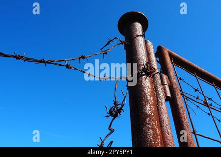 Fil barbelé, double fil, ruban métallique avec pointes coupantes pour les barrières. Fil barbelé rouillé contre le ciel bleu. La notion de guerre, de restriction des droits et des libertés. Poteau en fer. Banque D'Images