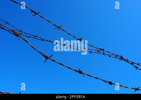 Fil barbelé, fil, bande étroite de ruban en métal, avec des pointes tranchantes placées dessus, utilisé pour faire des barrières. Fil barbelé rouillé contre le ciel bleu. La notion de guerre, de restriction des droits et libertés. Banque D'Images