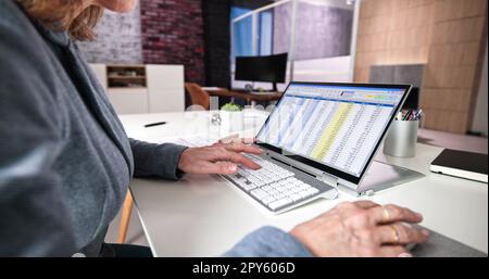 Analyste de feuille de calcul électronique ou auditeur utilisant le logiciel Banque D'Images