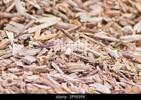 Beaucoup de copeaux de bois comme arrière-plan en bois en gros plan montre les ressources renouvelables et les matériaux durables avec des copeaux de bois et des coupes de bois recyclage pour les terrains de jeux et les matériaux de chauffage de pastilles Banque D'Images