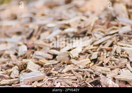 Beaucoup de copeaux de bois comme arrière-plan en bois en gros plan montre les ressources renouvelables et les matériaux durables avec des copeaux de bois et des coupes de bois recyclage pour les terrains de jeux et les matériaux de chauffage de pastilles Banque D'Images