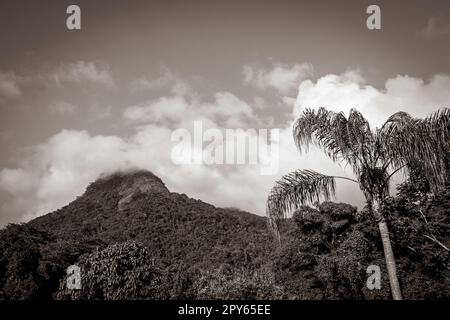 La montagne Abraão Pico do Papagaio avec des nuages. Ilha Grande Brésil. Banque D'Images