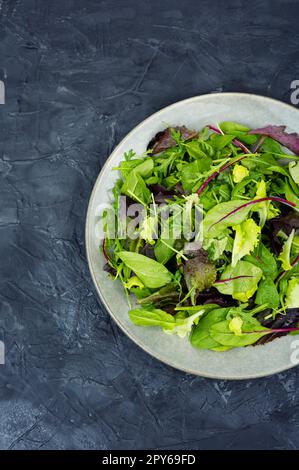 Salade fraîche avec des légumes verts mélangés, espace pour le texte Banque D'Images