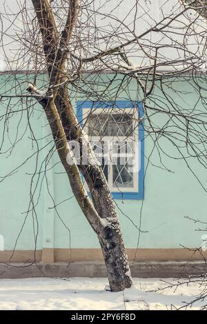 Gros plan sur les branches d'arbres surcultivées devant la photo de concept de maison neigée Banque D'Images