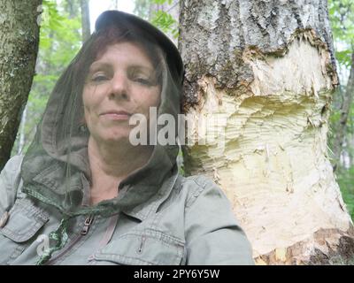 Un arbre rongé par un castor. Écorce et bois endommagés. Le travail du castor sur la construction du barrage. Taïga, Carélie. Femme sous la tête anti-moustique près d'un tronc d'arbre. Banque D'Images