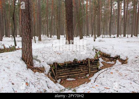 Terre-maison construite par des partisans soviétiques dans la forêt ukrainienne pendant la Guerre mondiale de Secont Banque D'Images