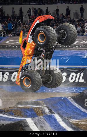 El Toro Loco conduit par la ville Saucier en action pendant la compétition de style libre. Pour la toute première fois, Monster Jam lance sa série de championnats Monster Truck dans le nouveau stade SOFI d'Inglewood, en Californie. La nuit a consisté en une soirée Pit qui a permis aux fans de rencontrer et d'accueillir les chauffeurs de camions et d'avoir une idée de la taille et de la construction des camions vraiment. Voici l'événement principal où les concurrents se sont battus dans trois défis de compétition, où les conducteurs ont essayé d'accumuler le plus de points sans détruire leurs véhicules. Banque D'Images