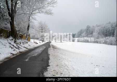 Paysage d'hiver route gelée avec prairie et arbres, beaucoup de neige Banque D'Images